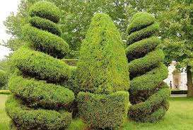 FIFA2026官方网站入口 安宁城市绿化带种植什么植物好