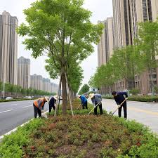 2026世界杯官网 宜城南京市绿化园林